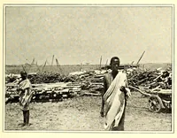 Picture 19 of 19 from Abyssinia through the Lion-land to the court of the Lion of Judah (1901), leaf 375