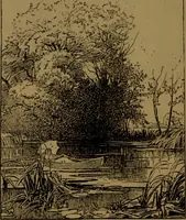 An illustration from Academy notes (1875)