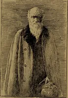 An illustration from Academy notes (1875)
