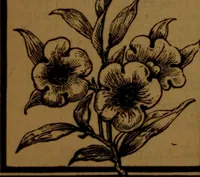 An illustration from Academy notes (1875)