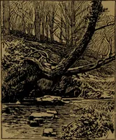 An illustration from Academy notes (1875)