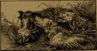 An illustration from Academy notes (1875)