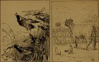 An illustration from Academy notes (1875)