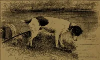 An illustration from Academy notes (1875)
