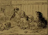 An illustration from Academy notes (1875)