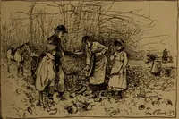 An illustration from Academy notes (1875)