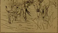 An illustration from Academy notes (1875)