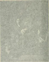 An illustration from Académiciens d'autrefois (1914)