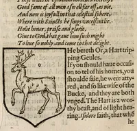 Picture 12 of 19 from The accedence of armorie (1597), leaf 120