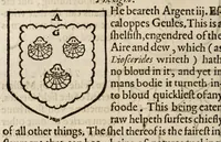 Picture 18 of 19 from The accedence of armorie (1597), leaf 208