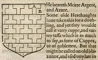 Picture 19 of 19 from The accedence of armorie (1597), leaf 240