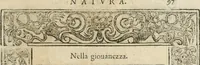 Picture 179 of 362 from Diverse imprese accommodate a diuerse moralità : con versi che i loro significati dichiarano insieme con molte altre nella lingua italiana non piu tradotte (1564), leaf 100