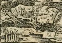 Picture 12 of 362 from Diverse imprese accommodate a diuerse moralità : con versi che i loro significati dichiarano insieme con molte altre nella lingua italiana non piu tradotte (1564), leaf 11