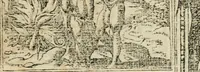 Picture 204 of 362 from Diverse imprese accommodate a diuerse moralità : con versi che i loro significati dichiarano insieme con molte altre nella lingua italiana non piu tradotte (1564), leaf 110