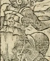 Picture 205 of 362 from Diverse imprese accommodate a diuerse moralità : con versi che i loro significati dichiarano insieme con molte altre nella lingua italiana non piu tradotte (1564), leaf 111