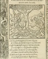 Picture 216 of 362 from Diverse imprese accommodate a diuerse moralità : con versi che i loro significati dichiarano insieme con molte altre nella lingua italiana non piu tradotte (1564), leaf 115