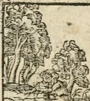 Picture 219 of 362 from Diverse imprese accommodate a diuerse moralità : con versi che i loro significati dichiarano insieme con molte altre nella lingua italiana non piu tradotte (1564), leaf 117