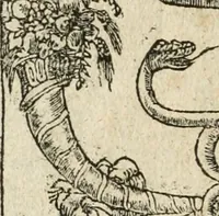 An illustration from Diverse imprese accommodate a diuerse moralità : con versi che i loro significati dichiarano insieme con molte altre nella lingua italiana non piu tradotte (1564)
