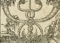 Picture 227 of 362 from Diverse imprese accommodate a diuerse moralità : con versi che i loro significati dichiarano insieme con molte altre nella lingua italiana non piu tradotte (1564), leaf 119