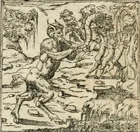 An illustration from Diverse imprese accommodate a diuerse moralità : con versi che i loro significati dichiarano insieme con molte altre nella lingua italiana non piu tradotte (1564)