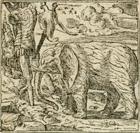 Picture 236 of 362 from Diverse imprese accommodate a diuerse moralità : con versi che i loro significati dichiarano insieme con molte altre nella lingua italiana non piu tradotte (1564), leaf 124
