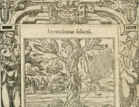 An illustration from Diverse imprese accommodate a diuerse moralità : con versi che i loro significati dichiarano insieme con molte altre nella lingua italiana non piu tradotte (1564)