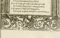 Picture 254 of 362 from Diverse imprese accommodate a diuerse moralità : con versi che i loro significati dichiarano insieme con molte altre nella lingua italiana non piu tradotte (1564), leaf 132