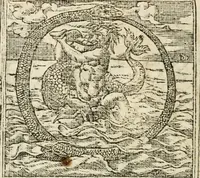 Picture 256 of 362 from Diverse imprese accommodate a diuerse moralità : con versi che i loro significati dichiarano insieme con molte altre nella lingua italiana non piu tradotte (1564), leaf 133