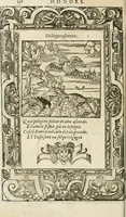 Picture 265 of 362 from Diverse imprese accommodate a diuerse moralità : con versi che i loro significati dichiarano insieme con molte altre nella lingua italiana non piu tradotte (1564), leaf 139