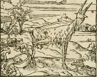 Picture 266 of 362 from Diverse imprese accommodate a diuerse moralità : con versi che i loro significati dichiarano insieme con molte altre nella lingua italiana non piu tradotte (1564), leaf 140