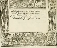 Picture 269 of 362 from Diverse imprese accommodate a diuerse moralità : con versi che i loro significati dichiarano insieme con molte altre nella lingua italiana non piu tradotte (1564), leaf 141
