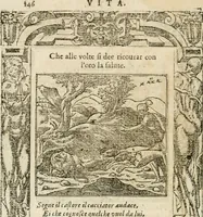 Picture 283 of 362 from Diverse imprese accommodate a diuerse moralità : con versi che i loro significati dichiarano insieme con molte altre nella lingua italiana non piu tradotte (1564), leaf 149