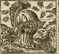 Picture 318 of 362 from Diverse imprese accommodate a diuerse moralità : con versi che i loro significati dichiarano insieme con molte altre nella lingua italiana non piu tradotte (1564), leaf 166