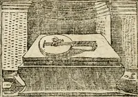 Picture 331 of 362 from Diverse imprese accommodate a diuerse moralità : con versi che i loro significati dichiarano insieme con molte altre nella lingua italiana non piu tradotte (1564), leaf 173