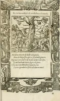 Picture 337 of 362 from Diverse imprese accommodate a diuerse moralità : con versi che i loro significati dichiarano insieme con molte altre nella lingua italiana non piu tradotte (1564), leaf 178