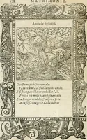 Picture 338 of 362 from Diverse imprese accommodate a diuerse moralità : con versi che i loro significati dichiarano insieme con molte altre nella lingua italiana non piu tradotte (1564), leaf 179