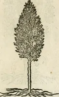 Picture 347 of 362 from Diverse imprese accommodate a diuerse moralità : con versi che i loro significati dichiarano insieme con molte altre nella lingua italiana non piu tradotte (1564), leaf 182