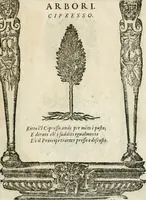 Picture 348 of 362 from Diverse imprese accommodate a diuerse moralità : con versi che i loro significati dichiarano insieme con molte altre nella lingua italiana non piu tradotte (1564), leaf 182
