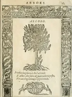 Picture 351 of 362 from Diverse imprese accommodate a diuerse moralità : con versi che i loro significati dichiarano insieme con molte altre nella lingua italiana non piu tradotte (1564), leaf 184