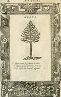 Picture 353 of 362 from Diverse imprese accommodate a diuerse moralità : con versi che i loro significati dichiarano insieme con molte altre nella lingua italiana non piu tradotte (1564), leaf 185