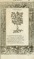 Picture 354 of 362 from Diverse imprese accommodate a diuerse moralità : con versi che i loro significati dichiarano insieme con molte altre nella lingua italiana non piu tradotte (1564), leaf 186