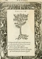 Picture 357 of 362 from Diverse imprese accommodate a diuerse moralità : con versi che i loro significati dichiarano insieme con molte altre nella lingua italiana non piu tradotte (1564), leaf 189