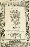 Picture 359 of 362 from Diverse imprese accommodate a diuerse moralità : con versi che i loro significati dichiarano insieme con molte altre nella lingua italiana non piu tradotte (1564), leaf 190