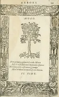 Picture 362 of 362 from Diverse imprese accommodate a diuerse moralità : con versi che i loro significati dichiarano insieme con molte altre nella lingua italiana non piu tradotte (1564), leaf 192