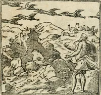 An illustration from Diverse imprese accommodate a diuerse moralità : con versi che i loro significati dichiarano insieme con molte altre nella lingua italiana non piu tradotte (1564)