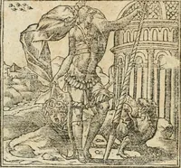 An illustration from Diverse imprese accommodate a diuerse moralità : con versi che i loro significati dichiarano insieme con molte altre nella lingua italiana non piu tradotte (1564)