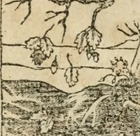 Picture 81 of 362 from Diverse imprese accommodate a diuerse moralità : con versi che i loro significati dichiarano insieme con molte altre nella lingua italiana non piu tradotte (1564), leaf 46