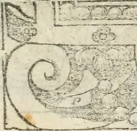 Picture 127 of 362 from Diverse imprese accommodate a diuerse moralità : con versi che i loro significati dichiarano insieme con molte altre nella lingua italiana non piu tradotte (1564), leaf 73