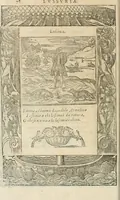An illustration from Diverse imprese accommodate a diuerse moralità : con versi che i loro significati dichiarano insieme con molte altre nella lingua italiana non piu tradotte (1564)