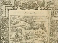 Picture 153 of 362 from Diverse imprese accommodate a diuerse moralità : con versi che i loro significati dichiarano insieme con molte altre nella lingua italiana non piu tradotte (1564), leaf 85